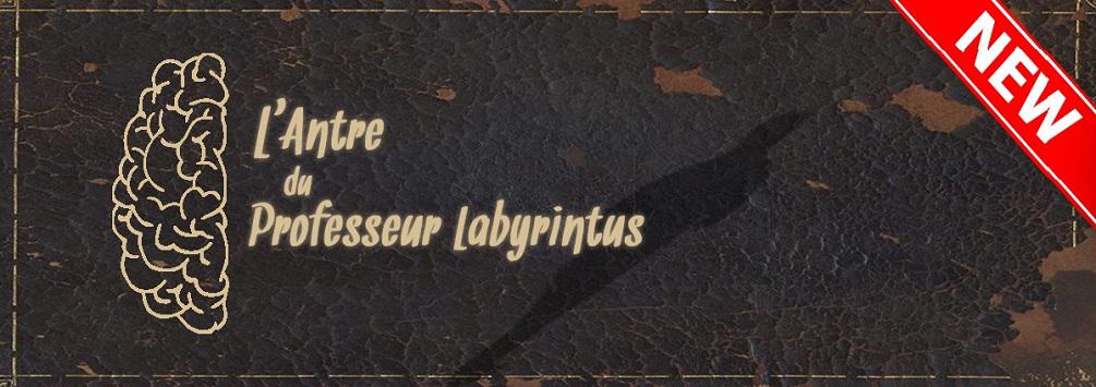 L'Antre du Professeur Labyrintus